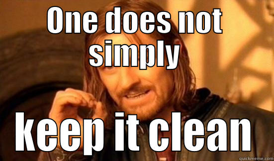 ONE DOES NOT SIMPLY KEEP IT CLEAN Boromir