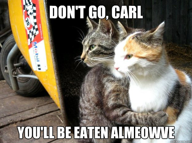 Don't go, Carl you'll be eaten almeowve  Restraining Cat