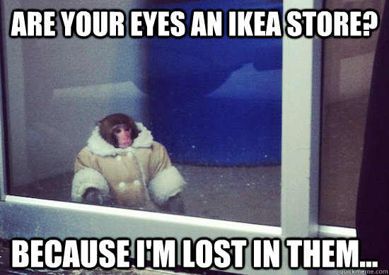 Are your eyes an ikea store? Because I'm lost in them... - Are your eyes an ikea store? Because I'm lost in them...  Ikea Monkey