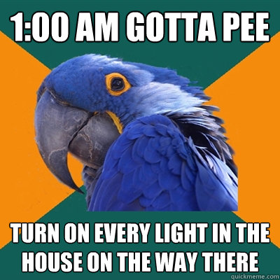1:00 am gotta pee turn on every light in the house on the way there  Paranoid Parrot