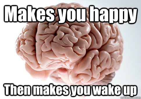 Makes you happy Then makes you wake up   Scumbag Brain