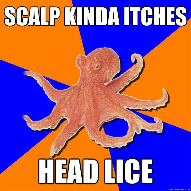 Scalp kinda itches head lice - Scalp kinda itches head lice  Online Diagnosis Octopus