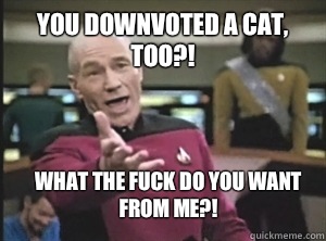 You downvoted a cat, too?! What the fuck do you want from me?!  Annoyed Picard