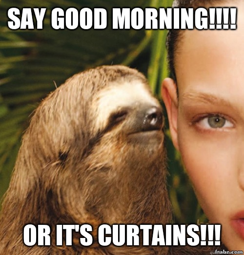 Say Good Morning!!!! 
Or it's Curtains!!! - Say Good Morning!!!! 
Or it's Curtains!!!  rape sloth