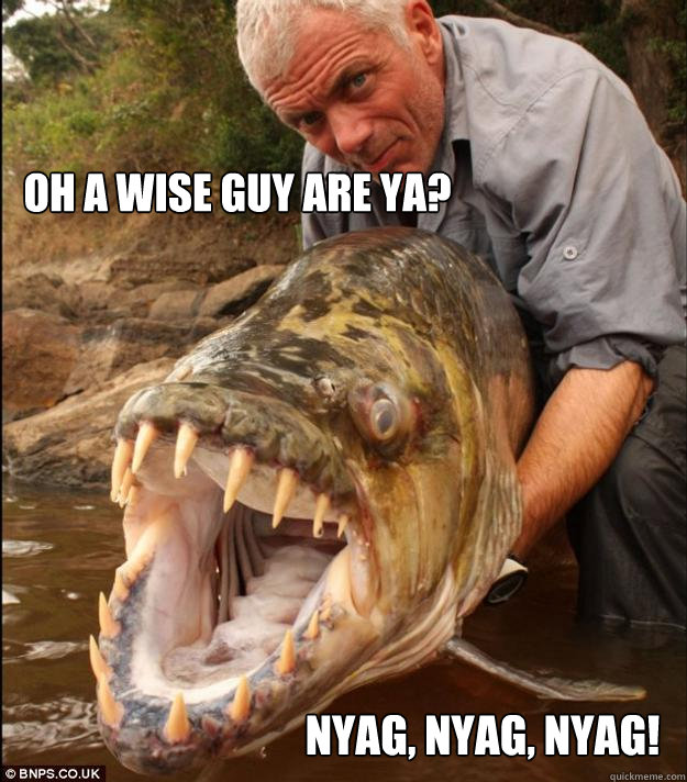 Oh a wise guy are ya? Nyag, nyag, nyag!  Comedy Fish