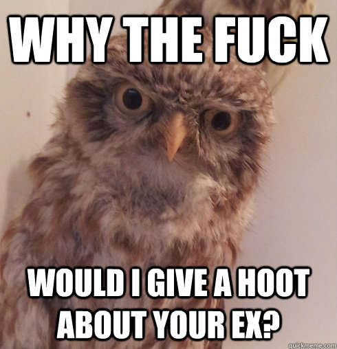 Why the fuck would I give a hoot about your ex?  