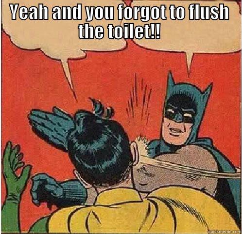 YEAH AND YOU FORGOT TO FLUSH THE TOILET!!  Batman Slapping Robin