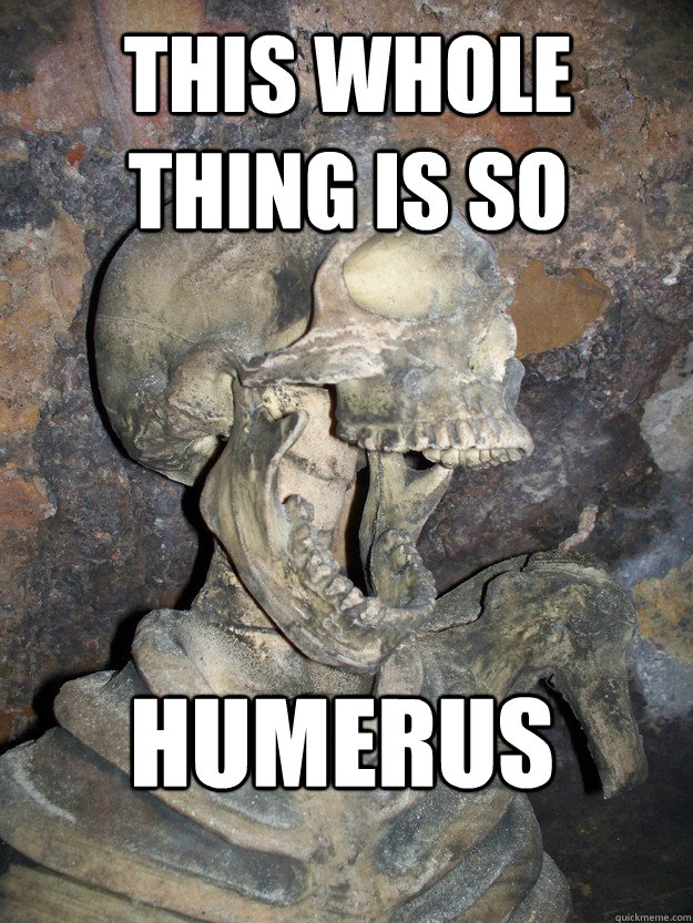 This whole thing is so Humerus  Fabulous skeleton