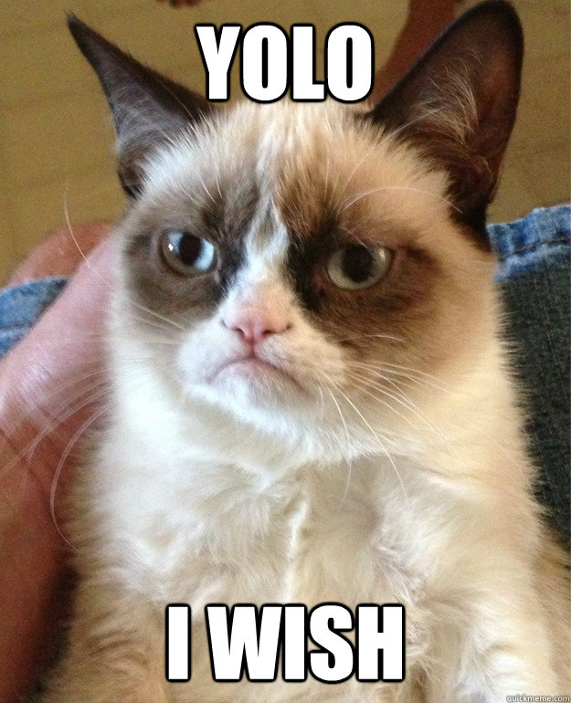 YOLO I wish - YOLO I wish  Grumpy Cat