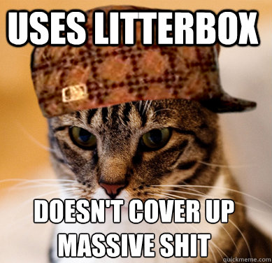 Uses litterbox doesn't cover up massive shit  Scumbag Cat