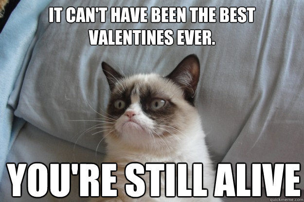 It can't have been the best valentines ever. You're still alive - It can't have been the best valentines ever. You're still alive  GrumpyCatOL