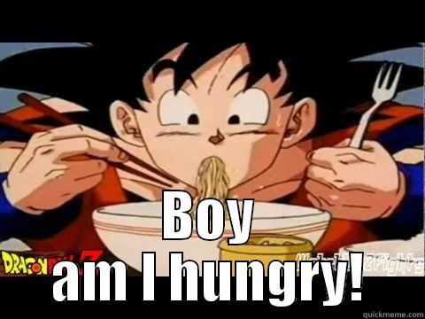 Kakarot is hungry -  BOY AM I HUNGRY! Misc
