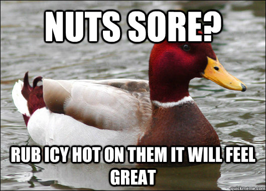 Nuts sore? Rub Icy Hot on them it will feel great - Nuts sore? Rub Icy Hot on them it will feel great  Malicious Advice Mallard