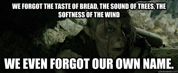 we forgot the taste of bread, the sound of trees, the softness of the wind We even forgot our own name.  gollum