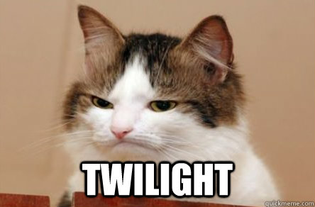  twilight -  twilight  Highly Unimpressed Cat