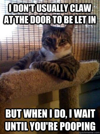 I don't usually claw at the door to be let in but when I do, i wait until you're pooping  The Most Interesting Cat in the World
