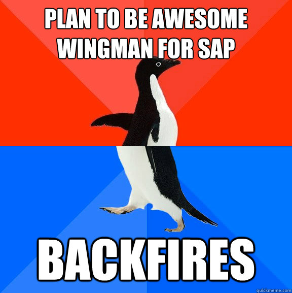 plan to be awesome wingman for SAP backfires  Socially Awesome Awkward Penguin