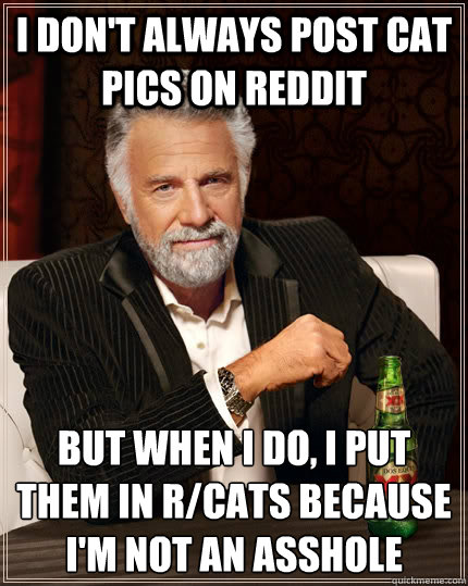 I Don't always post cat pics on Reddit but when I do, I put them in r/cats because I'm not an asshole  The Most Interesting Man In The World