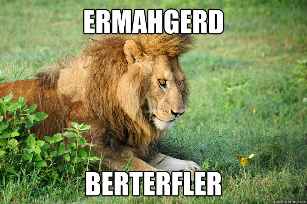 ermahgerd BERTERFLER - ermahgerd BERTERFLER  ermahgerd berterfler