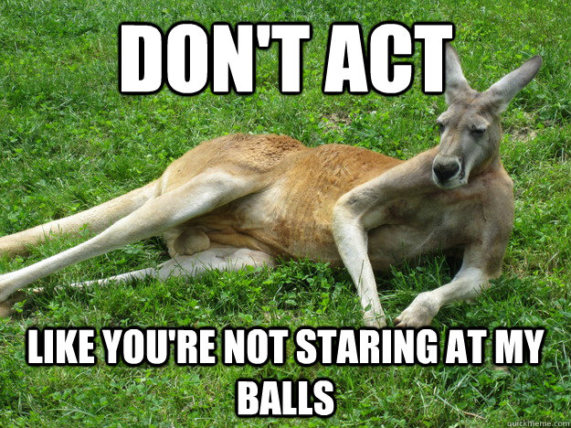 don't act like you're not staring at my balls  Sexy Kangaroo