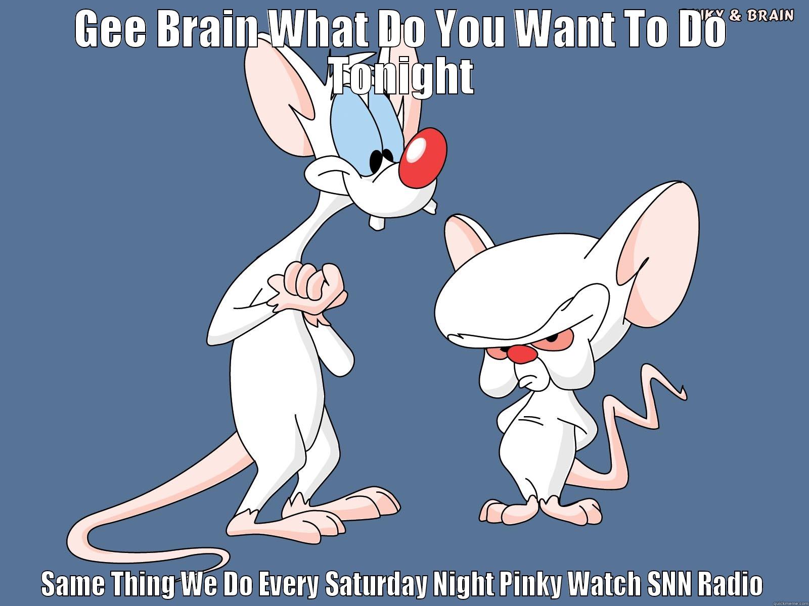 Pinky and the brain Saturday nights  - GEE BRAIN WHAT DO YOU WANT TO DO TONIGHT SAME THING WE DO EVERY SATURDAY NIGHT PINKY WATCH SNN RADIO Misc