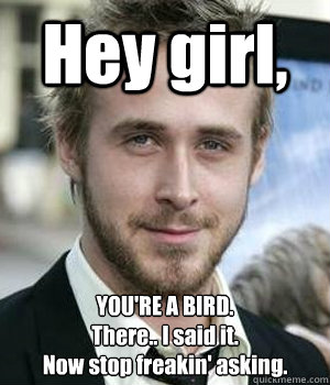 Hey girl, YOU'RE A BIRD.
There.. I said it.
Now stop freakin' asking. - Hey girl, YOU'RE A BIRD.
There.. I said it.
Now stop freakin' asking.  Misc