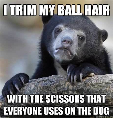 I trim my ball hair with the scissors that everyone uses on the dog  Confession Bear