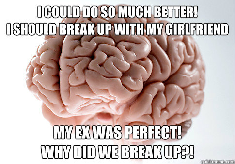 I could do so much better!
I should break up with my girlfriend my ex was perfect!
Why did we break up?!  Scumbag Brain