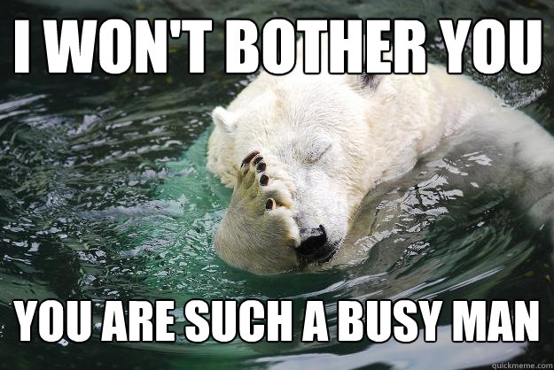 I won't bother you You are such a busy man  Embarrassed Polar Bear