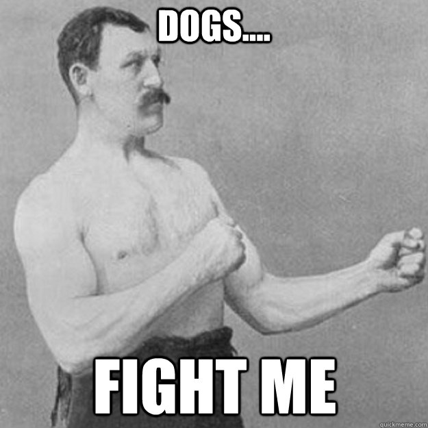 dogs.... fight me   overly manly man