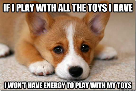 If i play with all the toys i have i won't have energy to play with my toys - If i play with all the toys i have i won't have energy to play with my toys  Misc