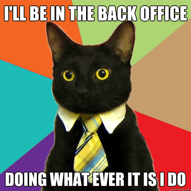 I'll be in the back office doing what ever it is i do - I'll be in the back office doing what ever it is i do  Business Cat