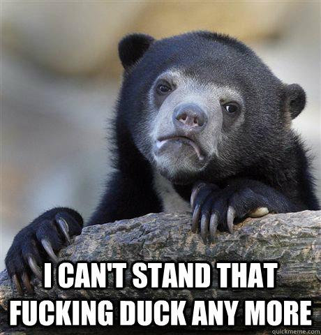 I can't stand that fucking duck any more  Confession Bear