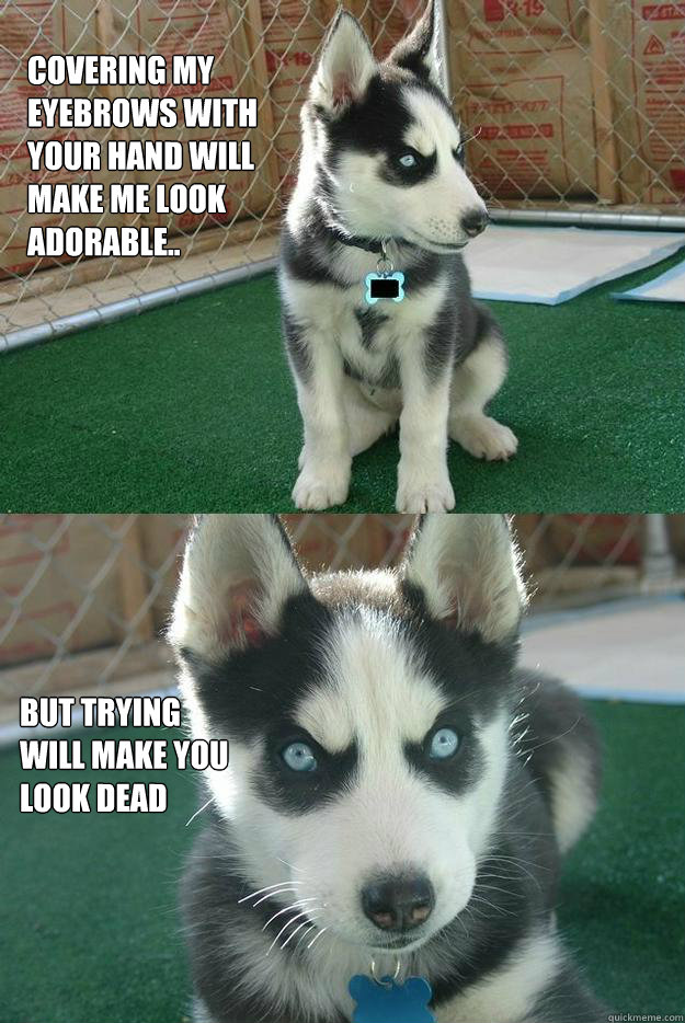 covering my eyebrows with your hand will make me look adorable.. but trying will make you look dead  Insanity puppy