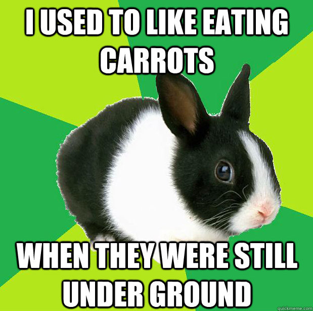Hipster Bunny Meme