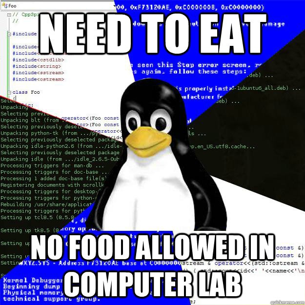 need to eat No food allowed in computer lab  Computer Science Penguin