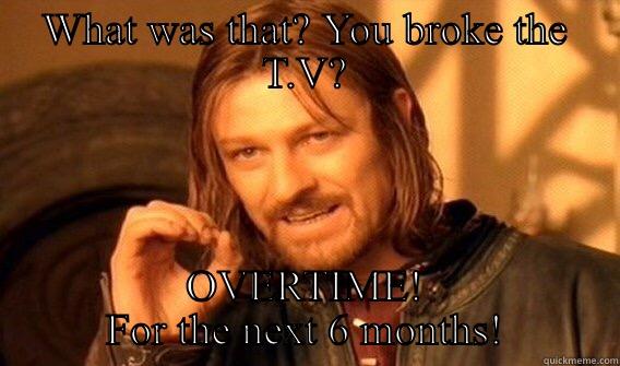 WHAT WAS THAT? YOU BROKE THE T.V? OVERTIME! FOR THE NEXT 6 MONTHS! One Does Not Simply