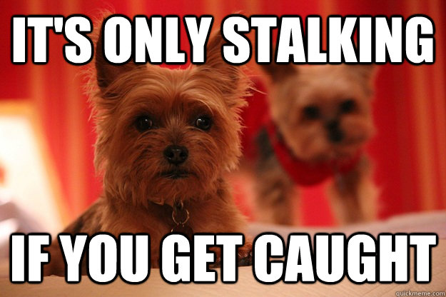 it's only stalking if you get caught - it's only stalking if you get caught  Stalker