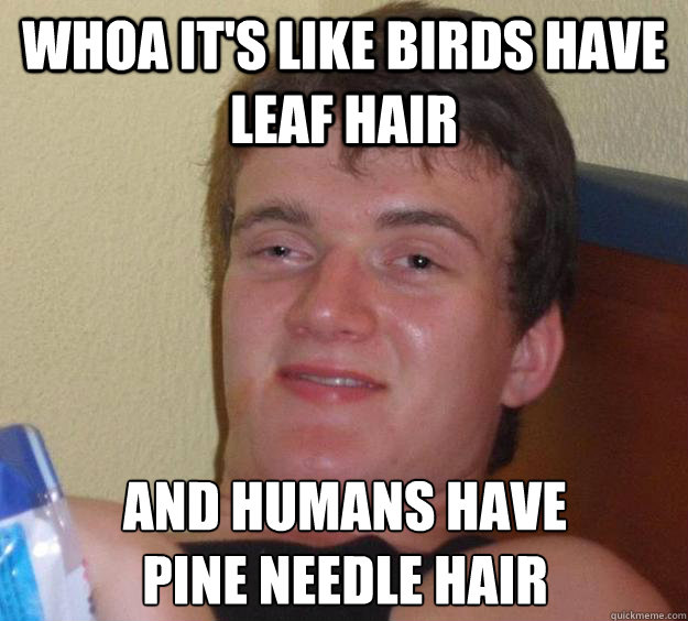 whoa it's like birds have leaf hair and humans have 
pine needle hair  10 Guy