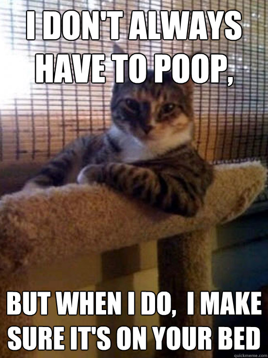 I Don't Always Have To Poop, But When I Do,  I Make Sure it's On Your Bed - I Don't Always Have To Poop, But When I Do,  I Make Sure it's On Your Bed  Misc