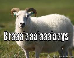  BRAAA'AAA'AAA'AAYS Misc