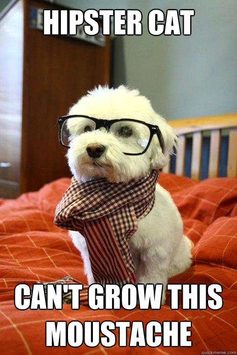 hipster cat can't grow this moustache - hipster cat can't grow this moustache  Hipster Dog