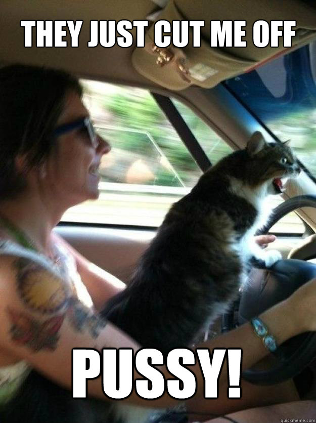 They just cut me off PUSSY! - They just cut me off PUSSY!  Road Rage Cat