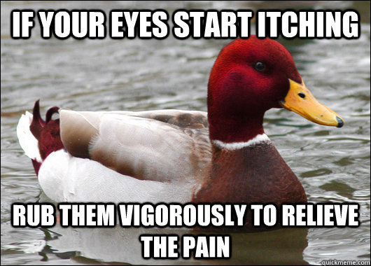 if your eyes start itching rub them vigorously to relieve the pain  Malicious Advice Mallard