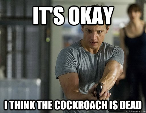 It's okay I think the cockroach is dead - It's okay I think the cockroach is dead  Antsy Aaron