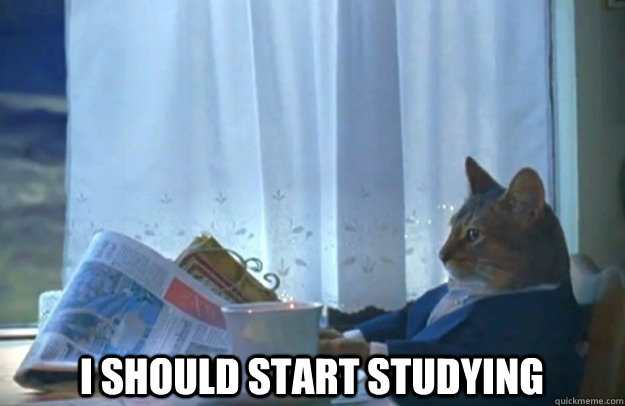  I should start studying  -  I should start studying   Sophisticated Cat
