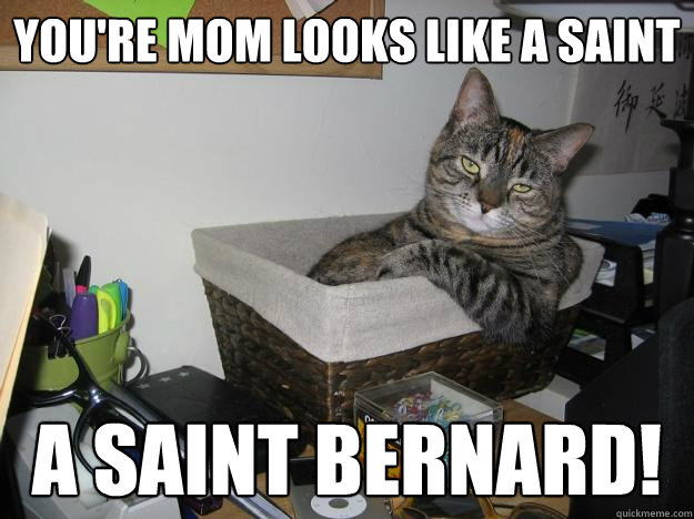 You're mom looks like a saint a saint bernard! - You're mom looks like a saint a saint bernard!  Caustic Cat
