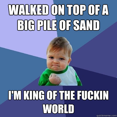 walked on top of a big pile of sand I'm king of the fuckin world  Success Kid