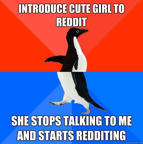 Introduce cute girl to reddit She stops talking to me and starts Redditing - Introduce cute girl to reddit She stops talking to me and starts Redditing  Socially Awesome Awkward Penguin