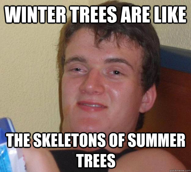 Winter trees are like  The skeletons of summer trees  10 Guy